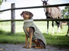 Wolters Hunde-Outdoorjacke Modern Classic oliv 2
