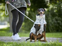 Wolters Hunde Outdoorjacke Camouflage 2