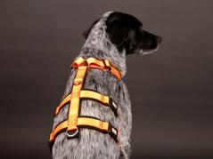 Style Snout Sicherheitsgeschirr Patch & Safe Neon-Orange-Black 2
