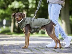 Wolters Steppjacke Cosy warmer Hundemantel olive 2