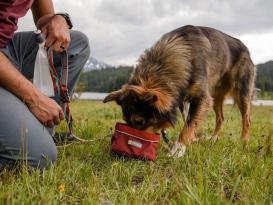 Ruffwear Quencher™ Faltnapf Hundenapf Fired Brick 2