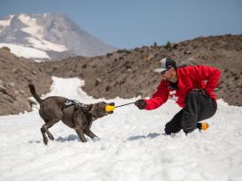 Huck-a-Cone™ Hundespielzeug 2