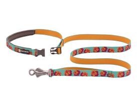 Ruffwear Flat Out™ Hundeleine Spring Burst 2