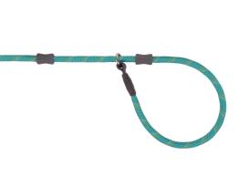 Ruffwear Just-a-Cinch™ Retrieverleine Aurora Teal 2