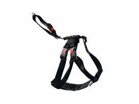 Safety Click Autosicherheitsgeschirr -XL- 2