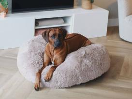 District 70 FUZZ 2.0 Donut abziehbares Hundebett sand M (60 cm) 2