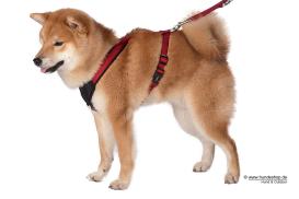 Wolters Hundegeschirr Professional Comfort rot 90 - 110 cm 2