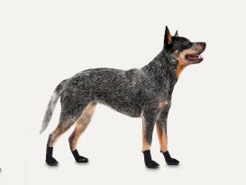 Goo-eez Lites Hundeschuhe 4-er-Pack schwarz M 2