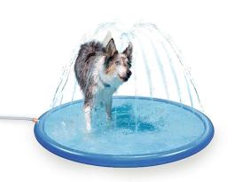 CoolPets Splash Sprinkler Pad für Hunde 150 cm 2
