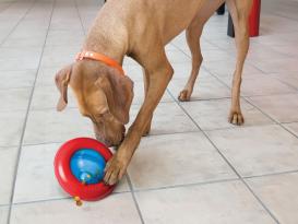 Kong Gyro Leckerlieball Hundespielzeug 17 cm 2