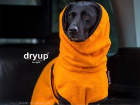 Dryup Cape Hundebademantel clementine M 2