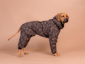 Paikka Winteranzug für Hunde coal 2