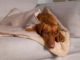 Scruffs Cosy Blanket Ganzjahres-Hundedecke Wüstensand 2