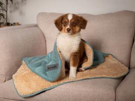 Scruffs Cosy Blanket Ganzjahres-Hundedecke Salbeigrün 2