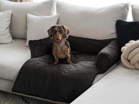 District 70 Nuzzle Schlafsofa für Hunde dunkelgrau 2