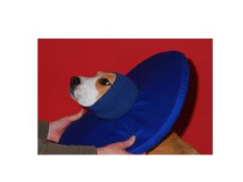 Tepaw Kragen Halskrause für Hunde Grösse 4 2