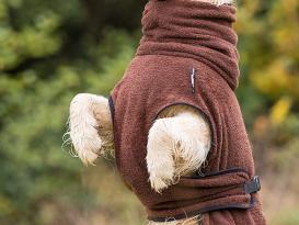 Dryup Cape Hundebademantel braun XS 2