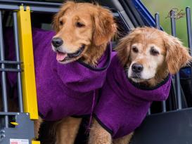 Dryup Cape Hundebademantel bilberry XS 2