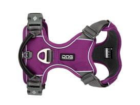 Comfort Walk Pro V2 Hundegeschirr Purple Passion XS 2