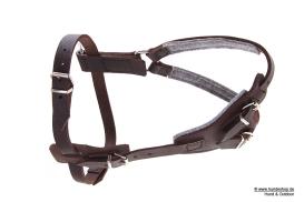 Relaxoo Fettleder Hundegeschirr Just Hundesport Edition 60 2