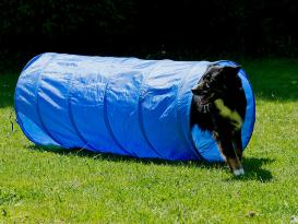 Dog Agility Tunnel 152cm x 60cm B-Ware 2