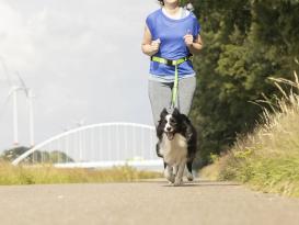 Jogging-Hüftgurt mit Hundeleine gelb 2