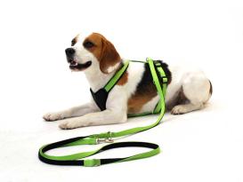 Wolters Hundegeschirr Professional Comfort kiwi 90 - 110 cm 2