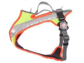 Grossenbacher Hundegeschirr Dogs FunRun Night 2.0 S 2