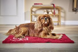 Cleankeeper Doormat rot medium 78x50 cm 2