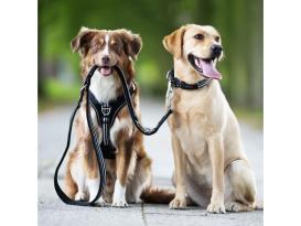 Wolters Active Pro Hundegeschirr silber/schwarz Gr. 7 2