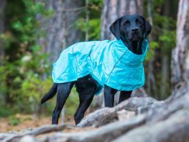 Rukka Pets Regenjacke für Hunde Hase Aqua 60 2