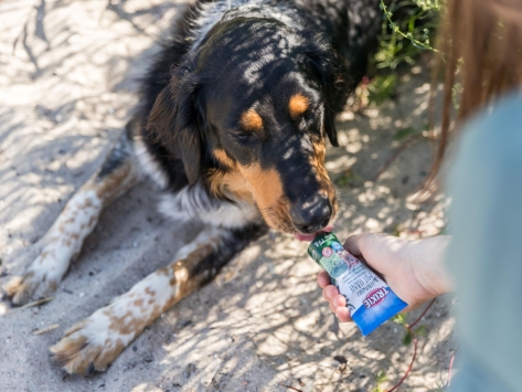 Leberwurst-Hanf-Creme für Hunde in der Tube