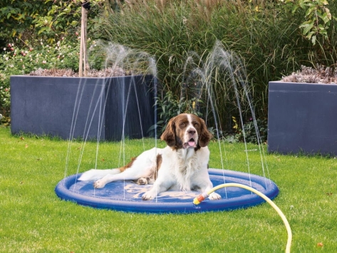 Sprinkle Mat Springbrunnen für Hunde