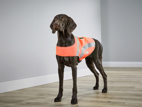 Wolters Hunde-Sicherheitsweste Security orange