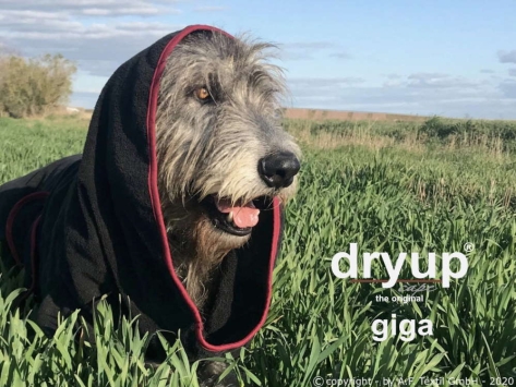 Dryup Cape Hundebademantel Giga schwarz