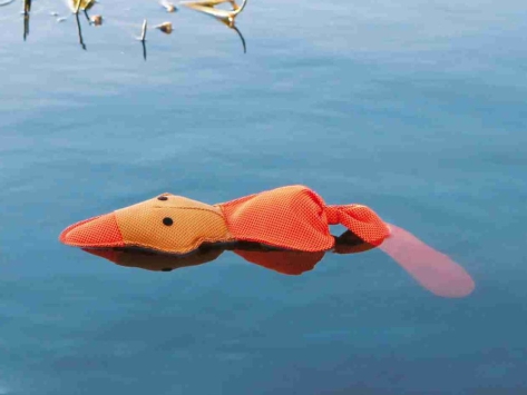 Aqua Toy schwimmfähige Ente Hundespielzeug