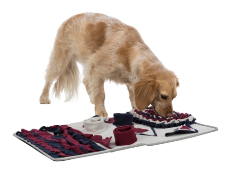 Dog Activity Bunter Schnüffelteppich für Hunde