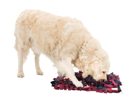 Dog Activity Strategie-Spiel Schnüffelteppich für Hunde