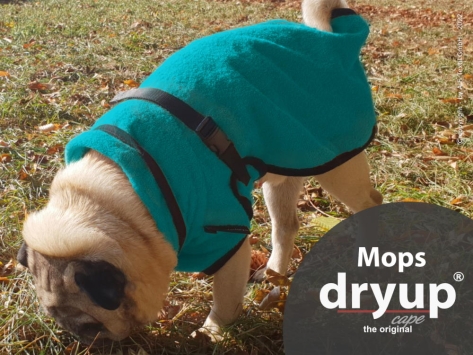 Dryup Cape Hundebademantel Mops petrol