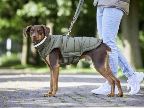 Wolters Steppjacke Cosy warmer Hundemantel olive