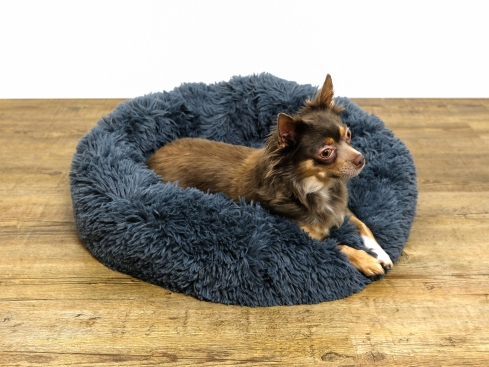 Donut Hundebett für kleine Hunde light grey