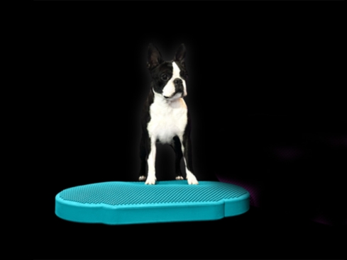 Flexiness Twindisc blau Fitnessgerät für Hunde