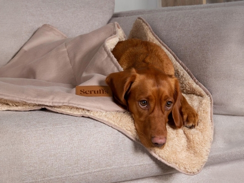 Scruffs Cosy Blanket Ganzjahres-Hundedecke Wüstensand