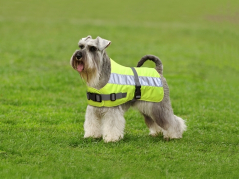 Thermo Hundemantel Flecta gelb