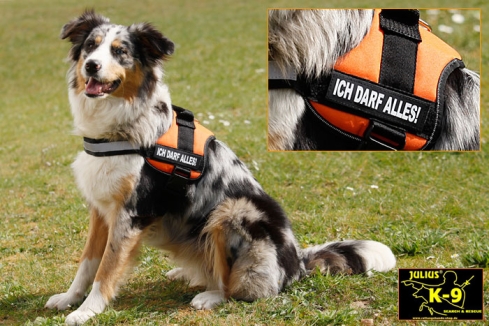 Julius K9 Power Hundegeschirr anthrazit