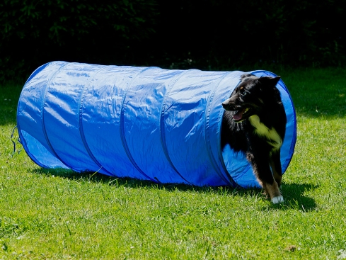 Dog Agility Tunnel 152cm x 60cm B-Ware