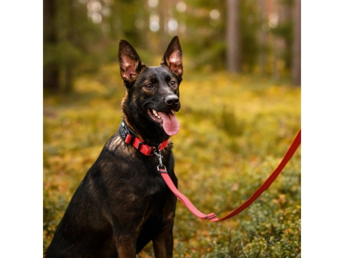 Rukka Pets Hundeleine Bliss red