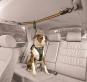 Kurgo Auto Zip Line Rückhaltesystem für Hunde 2