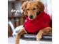 Dryup Cape Hundebademantel red pepper 2