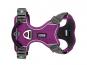 Comfort Walk Pro V2 Hundegeschirr Purple Passion 2
